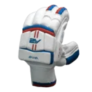 CricketBattingGloves-India2022_4_1800x1800