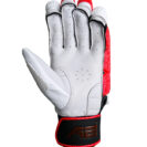 cricketbattinggloves-a2cricket-2-1800x1800-65e86fdbc9a55