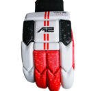 cricketbattinggloves-a2cricket-3-1800x1800-65e86fdc230a5