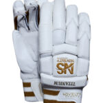 Titanium Cricket Batting Gloves - White